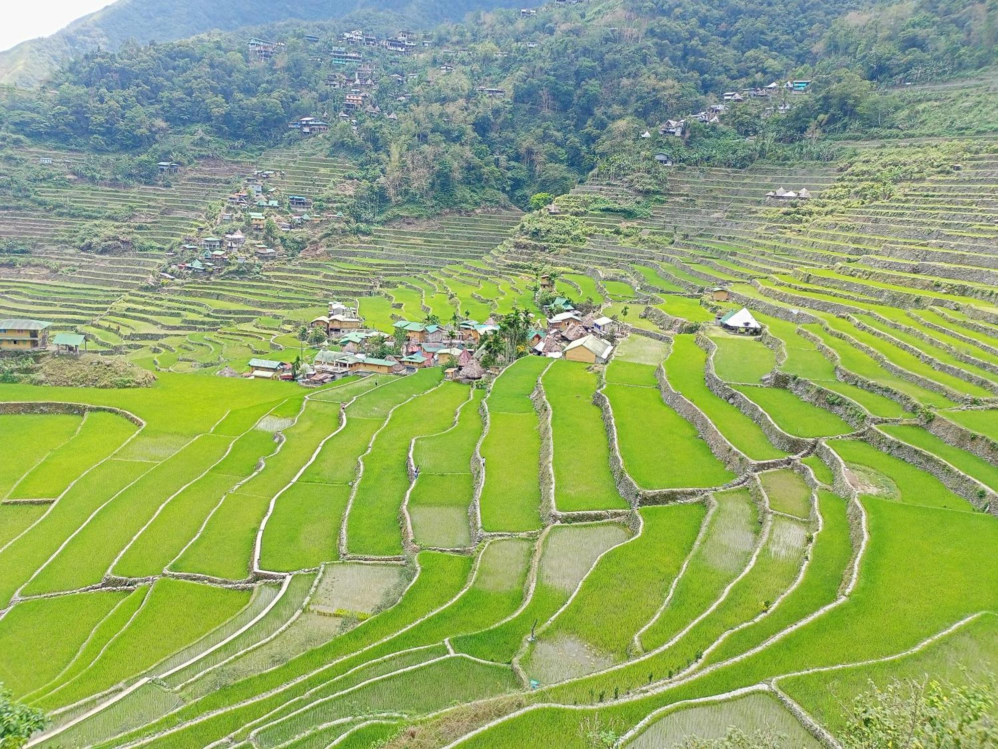 Banaue Transient House Bed And Breakfast Buitenkant foto